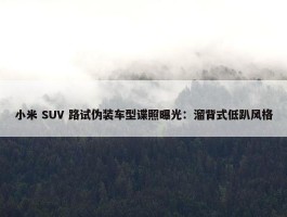 小米 SUV 路试伪装车型谍照曝光：溜背式低趴风格