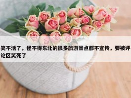 笑不活了，怪不得东北的很多旅游景点都不宣传，要被评论区笑死了