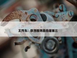 王传东：联想服务器稳居第三 