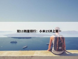 双11销量排行：小米15冲上第一