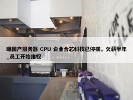 曝国产服务器 CPU 企业合芯科技已停摆，欠薪半年_员工开始维权