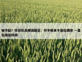 输不起？印尼队员嘲讽国足：对手根本不是在踢球 一直在拖延时间