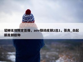 貂蝉无双限定首爆，aov联动皮肤2选1，张良_白起新皮肤巨帅