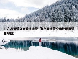 IT产品运营分为数据运营（it产品运营分为数据运营和哪些）