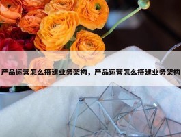 产品运营怎么搭建业务架构，产品运营怎么搭建业务架构