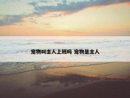 宠物叫主人上班吗 宠物是主人