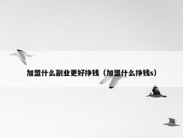 加盟什么副业更好挣钱（加盟什么挣钱s）