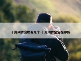 十殿阎罗宠物有几个 十殿阎罗宝宝在哪抓