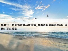 黑龙江一村支书系爱马仕皮带_开着百万豪车去慰问？当地：正在核实