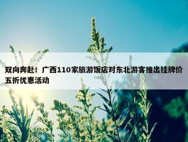 双向奔赴！广西110家旅游饭店对东北游客推出挂牌价五折优惠活动