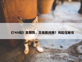 《749局》显颓势，王俊凯何用？风险压舱石