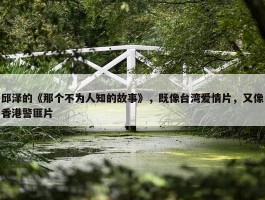 邱泽的《那个不为人知的故事》，既像台湾爱情片，又像香港警匪片