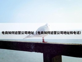 电商如何运营公司地址（电商如何运营公司地址和电话）