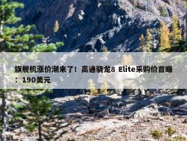 旗舰机涨价潮来了！高通骁龙8 Elite采购价首曝：190美元