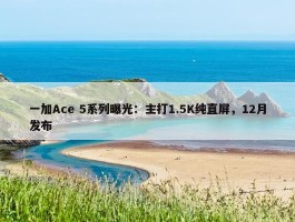 一加Ace 5系列曝光：主打1.5K纯直屏，12月发布