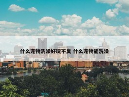 什么宠物洗澡好玩不臭 什么宠物能洗澡