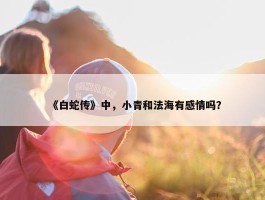 《白蛇传》中，小青和法海有感情吗？