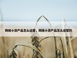 网络小贷产品怎么运营，网络小贷产品怎么运营的