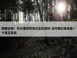 鹈鹕主帅：可以看到球员们正在变好 这对我们来说是一个真正亮点