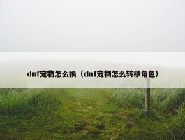 dnf宠物怎么换（dnf宠物怎么转移角色）