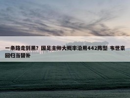 一条路走到黑？国足主帅大概率沿用442阵型 韦世豪回归当替补