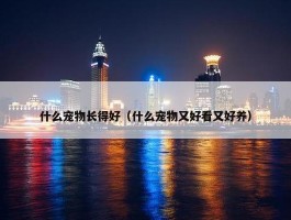 什么宠物长得好（什么宠物又好看又好养）