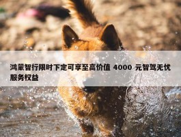 鸿蒙智行限时下定可享至高价值 4000 元智驾无忧服务权益