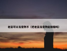 老鼠可以当宠物不（把老鼠当宠物能驯服吗）