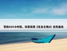 苦练800小时后，玩家实现《无主之地2》无伤通关