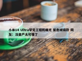 小米14 Ultra罕见工程机曝光 紫色玻璃款 网友：没量产太可惜了