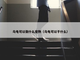 乌龟可以做什么宠物（乌龟可以干什么）