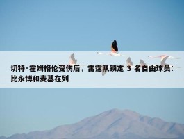 切特·霍姆格伦受伤后，雷霆队锁定 3 名自由球员：比永博和麦基在列