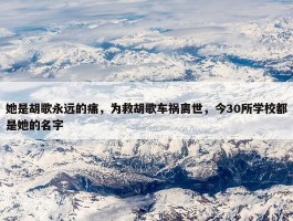 她是胡歌永远的痛，为救胡歌车祸离世，今30所学校都是她的名字