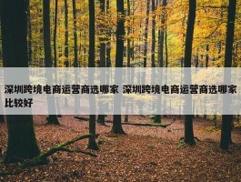 深圳跨境电商运营商选哪家 深圳跨境电商运营商选哪家比较好