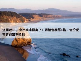 这届双11，中小商家翻身了？月销售额涨1倍，低价受害者逃离车轮战