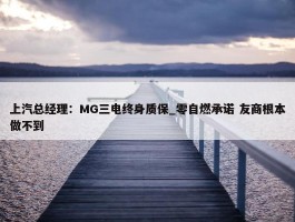 上汽总经理：MG三电终身质保_零自燃承诺 友商根本做不到