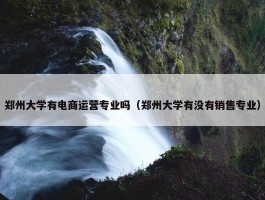 郑州大学有电商运营专业吗（郑州大学有没有销售专业）