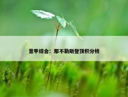 意甲综合：那不勒斯登顶积分榜