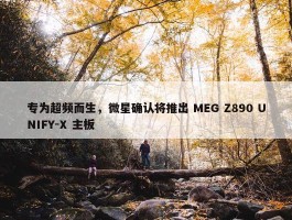 专为超频而生，微星确认将推出 MEG Z890 UNIFY-X 主板