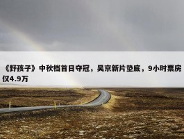 《野孩子》中秋档首日夺冠，吴京新片垫底，9小时票房仅4.9万