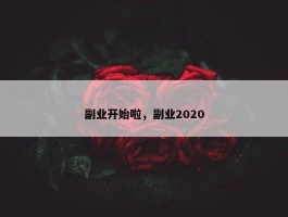 副业开始啦，副业2020