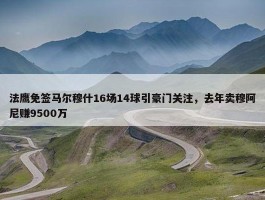 法鹰免签马尔穆什16场14球引豪门关注，去年卖穆阿尼赚9500万