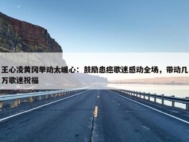 王心凌黄冈举动太暖心：鼓励患癌歌迷感动全场，带动几万歌迷祝福