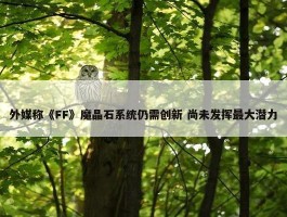 外媒称《FF》魔晶石系统仍需创新 尚未发挥最大潜力