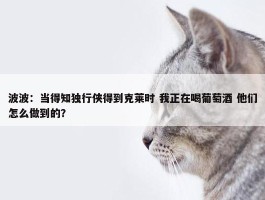 波波：当得知独行侠得到克莱时 我正在喝葡萄酒 他们怎么做到的？