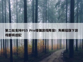 第二批支持PS5 Pro增强游戏阵容！失眠组旗下游戏都将适配