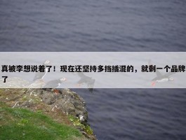 真被李想说着了！现在还坚持多挡插混的，就剩一个品牌了