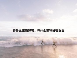 养什么宠物好呢，养什么宠物好呢女生