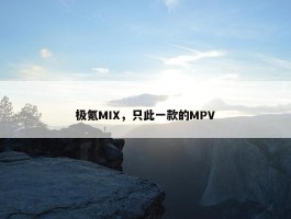 极氪MIX，只此一款的MPV