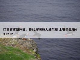 辽篮官宣新外援：签32岁老熟人威尔斯 上赛季单场43+7+7